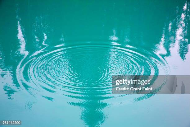 circular ripples on  lake. - pond stock pictures, royalty-free photos & images