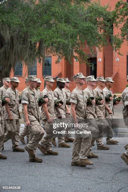 marine corps basic training at parris island, south carolina - parris island stock pictures, royalty-free photos & images