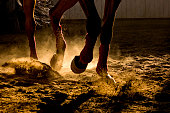 Horse training in the sand and dust