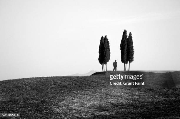 old man enjoying a walk in tuscan countryside. - landscape black and white stock pictures, royalty-free photos & images