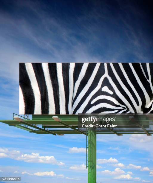 billboard sign with zebra animal pattern. - las vegas crazy stock pictures, royalty-free photos & images