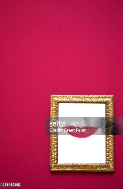 framed photograph of geisha's lips - vancouver art gallery stock pictures, royalty-free photos & images