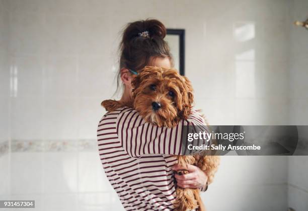 woman bathing her puppy - cute animals cuddling stock-fotos und bilder