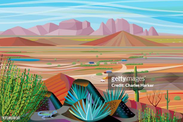 sonora desert landscape looking out from cactus mountaintop to valley and mountains in distance - phoenix arizona cactus stock pictures, royalty-free photos & images