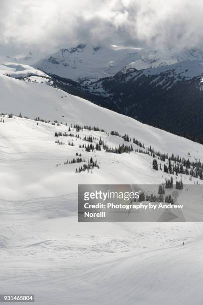 skier in backcountry, whistler blackcomb, bc - mont blackcomb photos et images de collection
