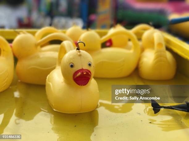 hook a duck - hook a duck stock pictures, royalty-free photos & images