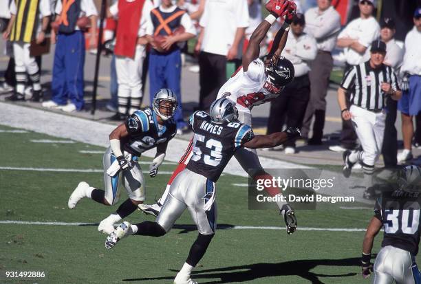 Atlanta Falcons Alge Crumpler in action, making catch vs Carolina Panthers at Bank Anerica Stadium. Charlotte, NC CREDIT: David Bergman