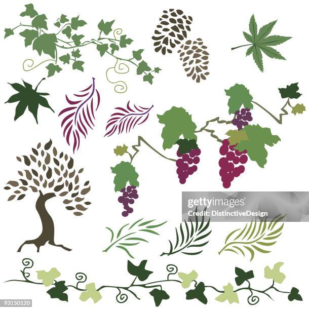 leaf collection 2 - ivy growing stock illustrations