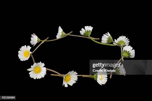 daisy chain on black - daisy chain stock pictures, royalty-free photos & images