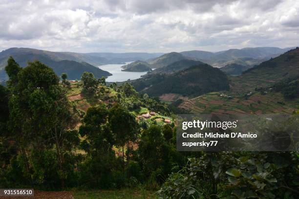 the steep lush hillslopes above lake bunyonyi - agroforestry stock-fotos und bilder