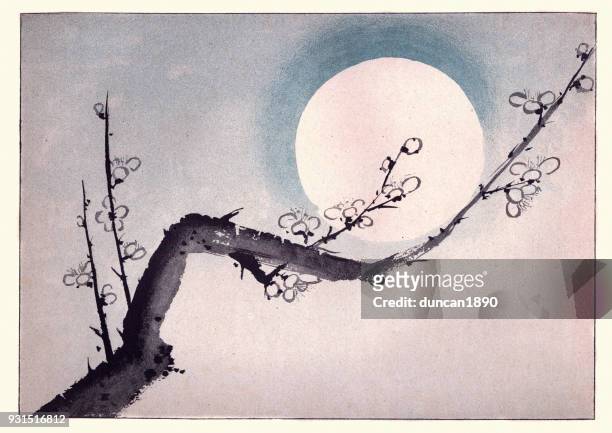ilustrações, clipart, desenhos animados e ícones de arte japonesa, ramo da ameixeira em flor - japanese art