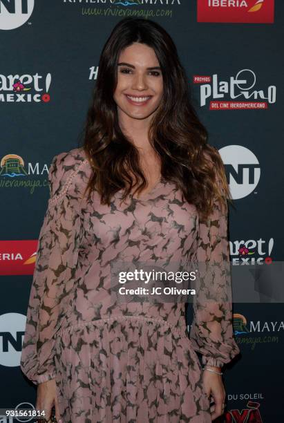 Actor Ana Gequelin attends the 5th Annual Premios PLATINO Of Iberoamerican Cinema Nominations Announcement at Hollywood Roosevelt Hotel on March 13,...