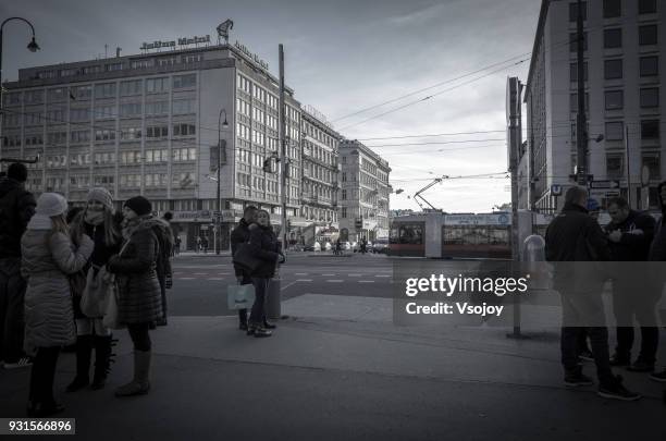 waiting at the road intersection, vienna, austria - vsojoy stockfoto's en -beelden