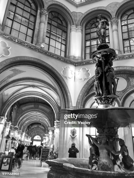 ferstel passage (freyung passage) at vienna, austria - vsojoy fotografías e imágenes de stock