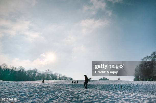 visitors walking up the hill to the gloriette, vienna, austria. - vsojoy fotografías e imágenes de stock