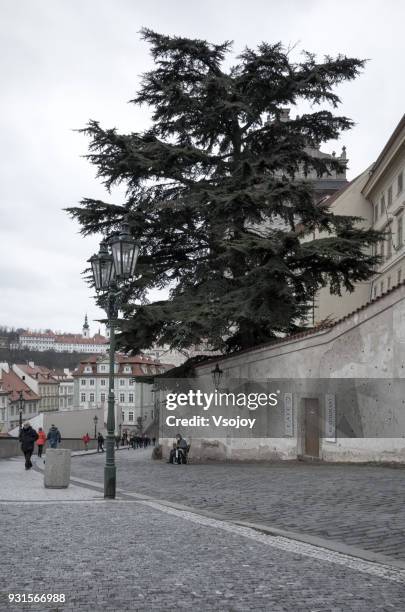 street view at around the western gate of prague castle, czech republic - vsojoy stockfoto's en -beelden