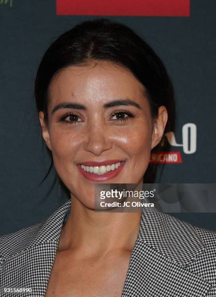 Actor Karina Velazquez attends the 5th Annual Premios PLATINO Of Iberoamerican Cinema Nominations Announcement at Hollywood Roosevelt Hotel on March...