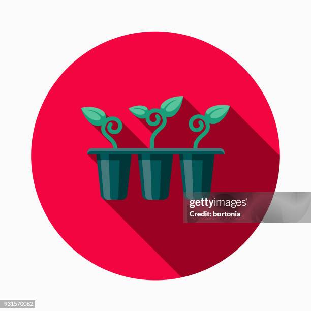 seedlings flat design gardening icon with side shadow - bean sprout stock illustrations