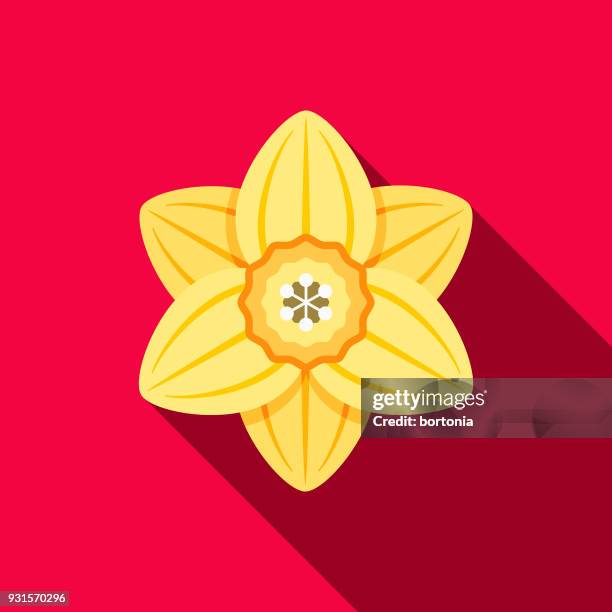 narzissen flache gartenarbeit designikone mit seite schatten - daffodil stock-grafiken, -clipart, -cartoons und -symbole