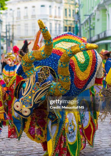 march 12, anniversary of recife. - hispanic month stock pictures, royalty-free photos & images