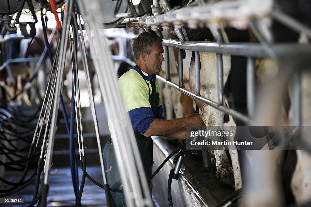 Fonterra Co-operative Hold Annual General Meeting