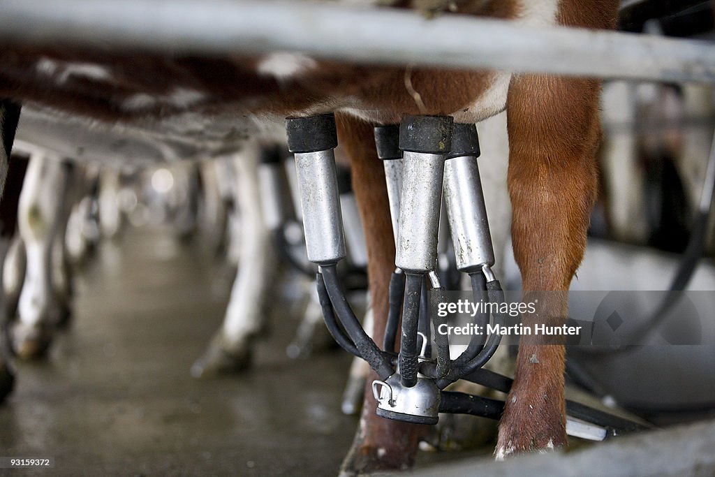 Fonterra Co-operative Hold Annual General Meeting