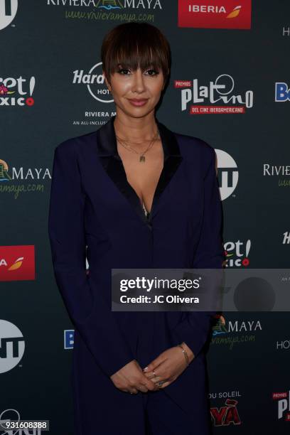 Actor Jackie Cruz attends the 5th Annual Premios PLATINO Of Iberoamerican Cinema Nominations Announcement at Hollywood Roosevelt Hotel on March 13,...