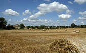 hay, landscape
