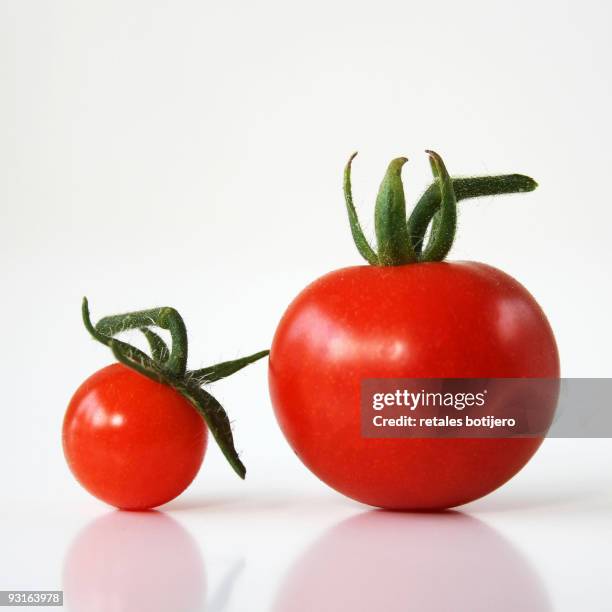 two tomatoes - retales botijero fotografías e imágenes de stock