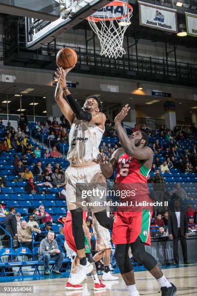 Devin Robinson of the Delaware 87ers dunks against the Maine Red Claws during a G-League game on March 13, 2018 at the Bob Carpenter Center in...