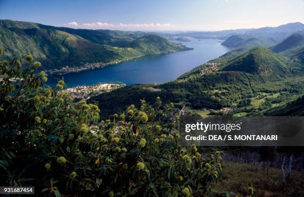 Lake Orta seen from Belvedere, Quarna Sopra, Piedmont, Italy.