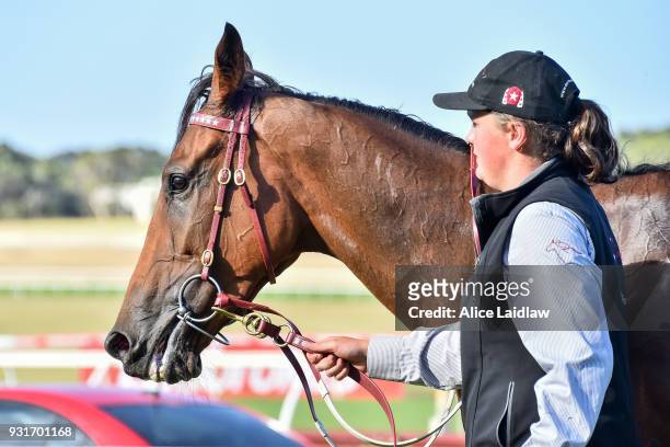 Leicester after winning the United Petroleum Handicap at Ladbrokes Park Hillside Racecourse on March 14, 2018 in Springvale, Australia.