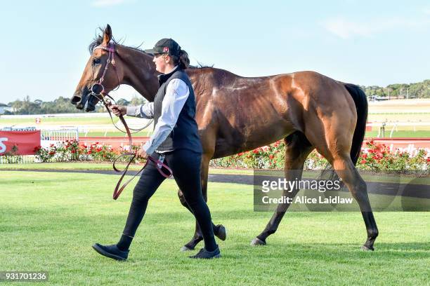 Leicester after winning the United Petroleum Handicap at Ladbrokes Park Hillside Racecourse on March 14, 2018 in Springvale, Australia.