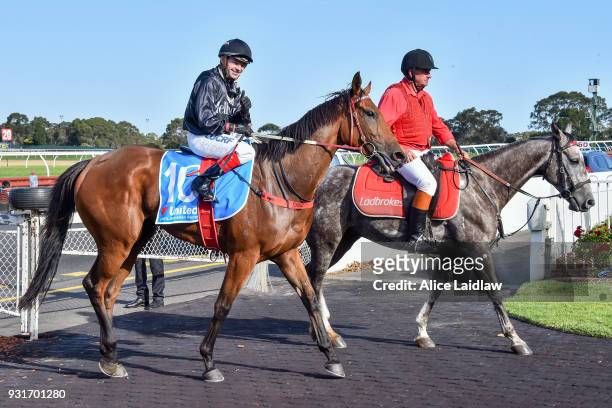 Leicester ridden by Dean Yendall returns to scale after winning the United Petroleum Handicap at Ladbrokes Park Hillside Racecourse on March 14, 2018...