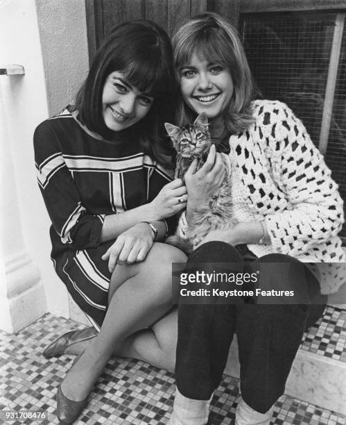 Australian singing duo Pat Carroll and Olivia Newton-John, aka Pat and Olivia, pose with a kitten, UK, November 1967.