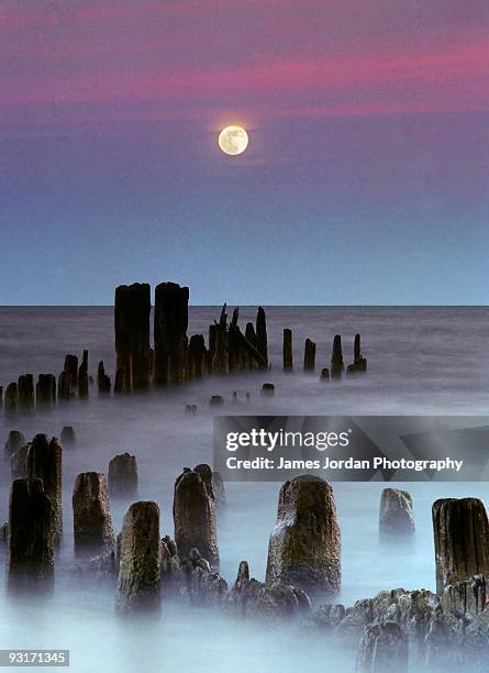 moonrise - evanston illinois stock pictures, royalty-free photos & images