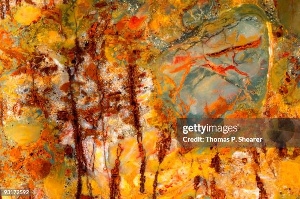 jasper forest - tree from below stock illustrations