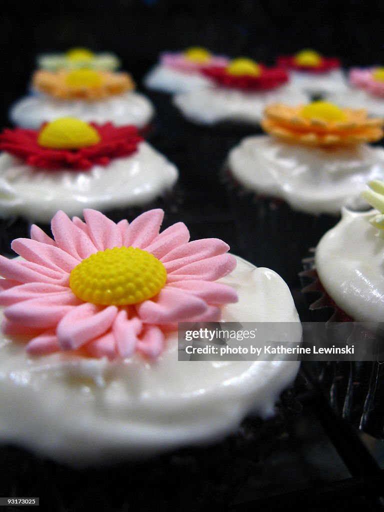 Cupcakes Topped with Sugar Flowers
