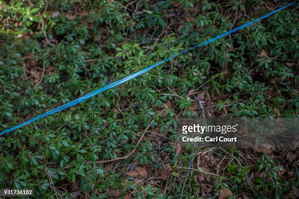 String leads from a pathway to an apparent suicide site in Aokigahara forest, on March 13, 2018 in Fujikawaguchiko, Japan. Aokigahara forest lies on...