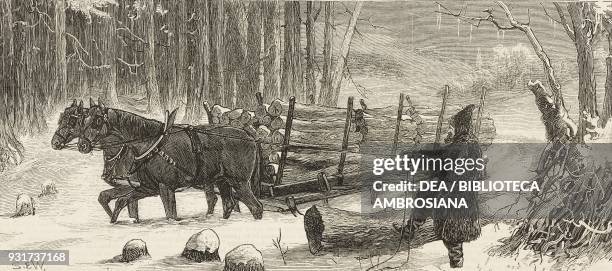 Sled loaded with logs, pulled by horses in the snow, Canada, illustration from the magazine The Graphic, volume XV, no 393, June 9, 1877.