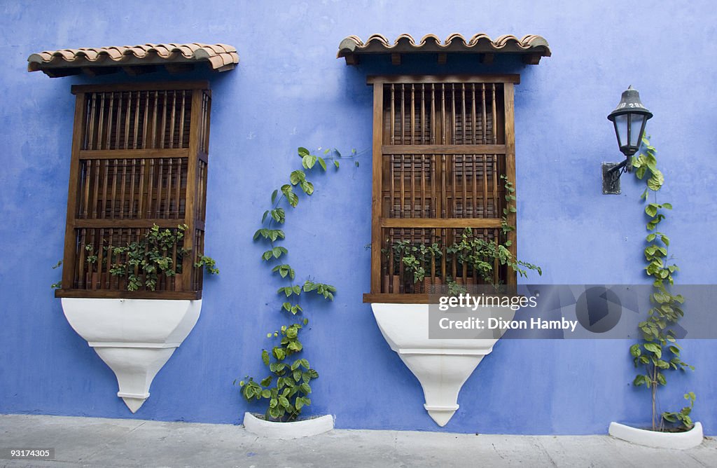 Blue wall and ivy