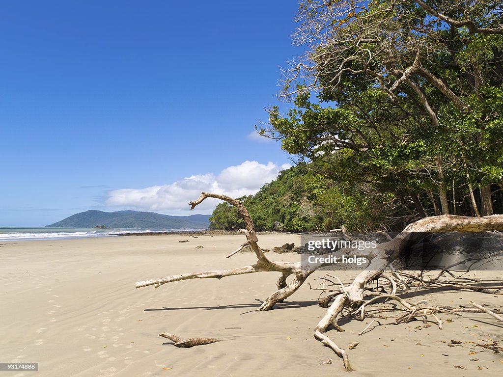 Cape Tribulation