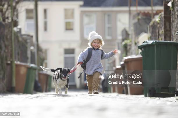 young child running with dog - chilly bin stockfoto's en -beelden