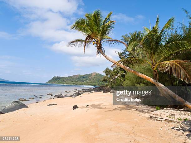vanuatu beach scene - vanuatu stock pictures, royalty-free photos & images