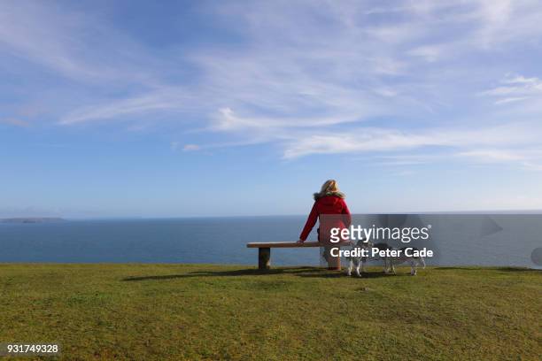 woman with dogs, sat on bench looking out to sea - mourning stock-fotos und bilder