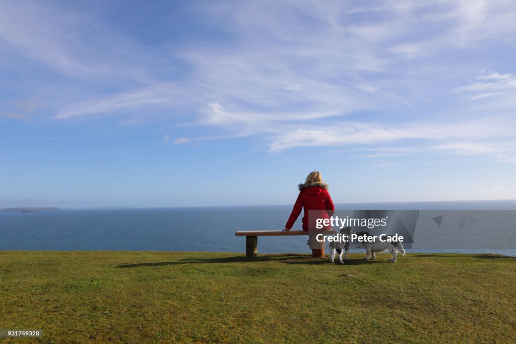 Woman with dogs, sat on bench looking out to sea