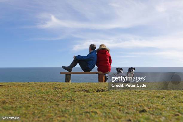 older couple with dogs, sat on bench looking out to sea with dogs - couple sitting stock pictures, royalty-free photos & images