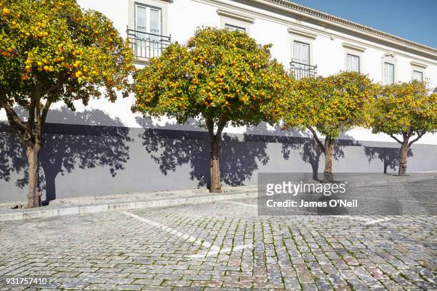 empty parking space on old brick road with background orange trees - cobblestone pathway stock pictures, royalty-free photos & images