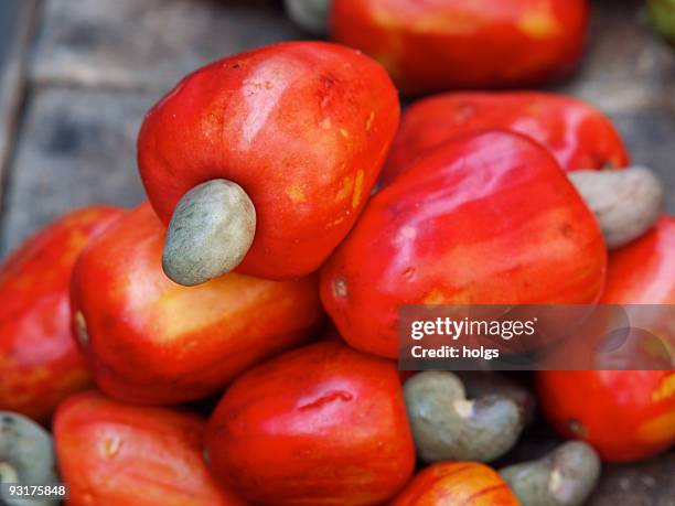 vibrant red cashew nut fruit - cashew stock pictures, royalty-free photos & images
