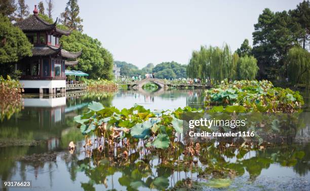 west lake scene in hangzhou, china - west lake hangzhou stock pictures, royalty-free photos & images